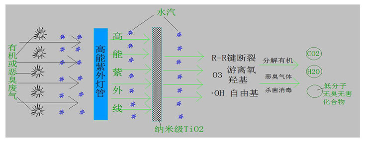 图为光催化氧化除臭设备的工艺原理